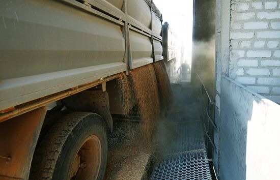 Russia Elevator Agricultural Complex