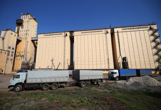 Russia Elevator Agricultural Complex