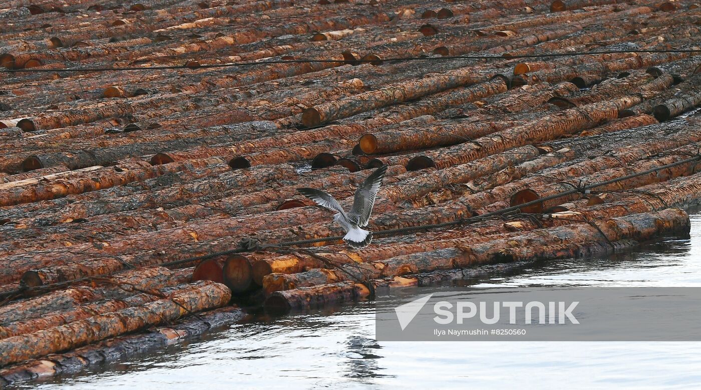 Russia Timber Rafting