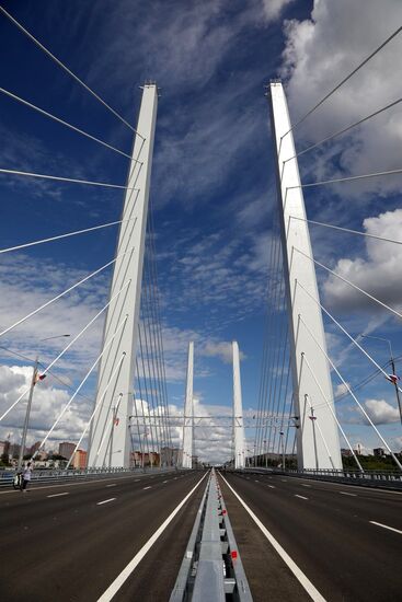 Russia Putin River Bridge Opening