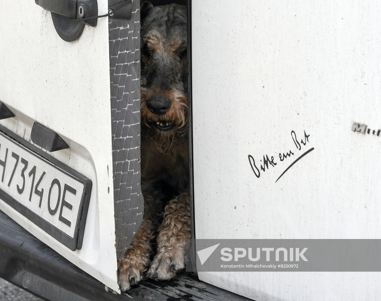 Ukraine Russia Military Operation Checkpoint
