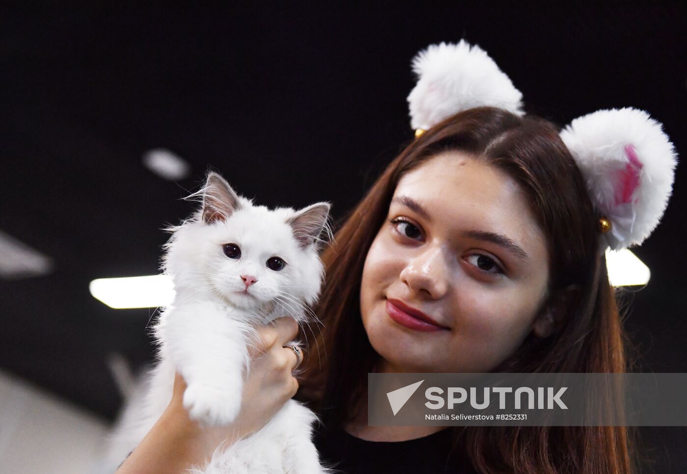 Russia Cats Show