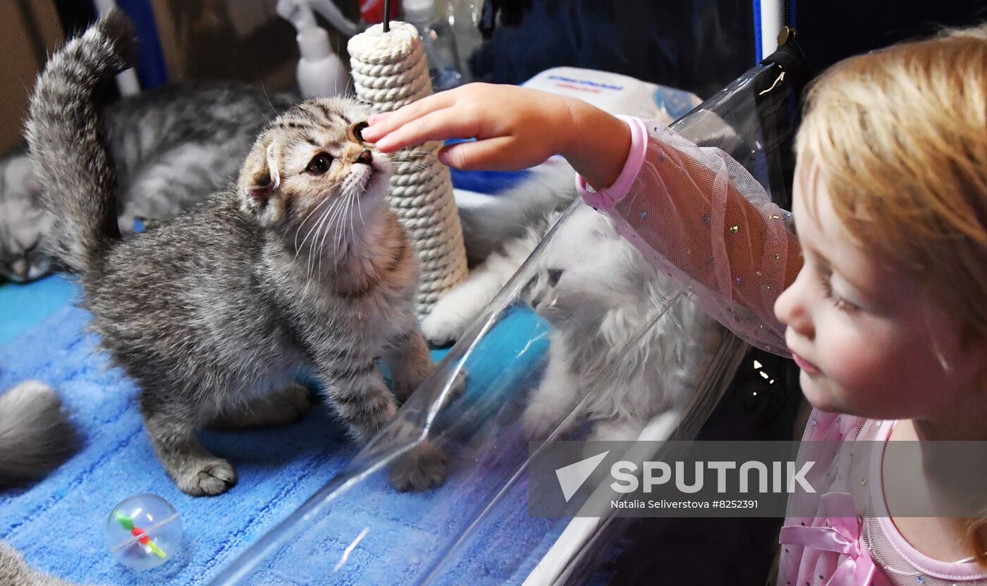 Russia Cats Show