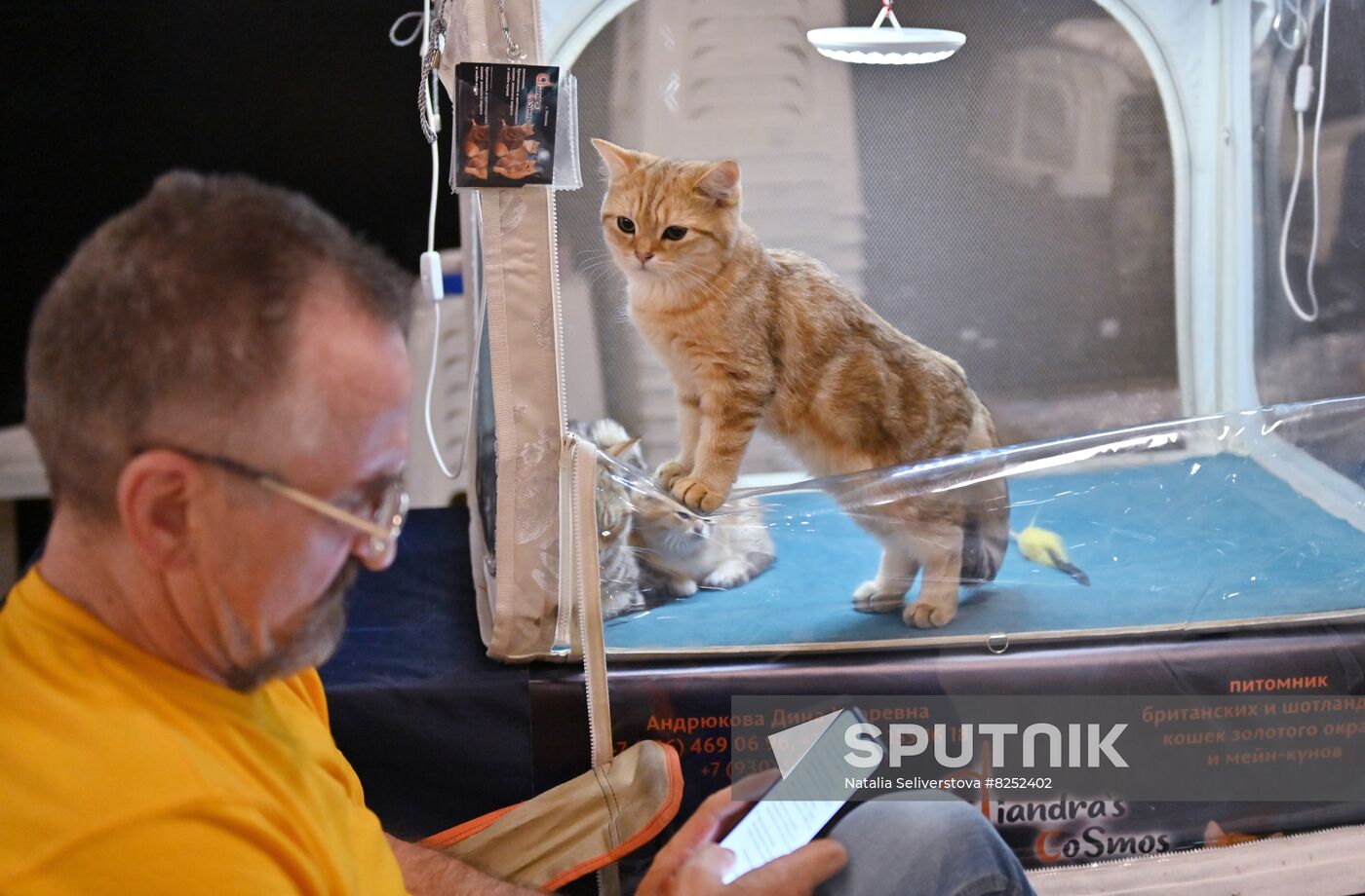 Russia Cats Show