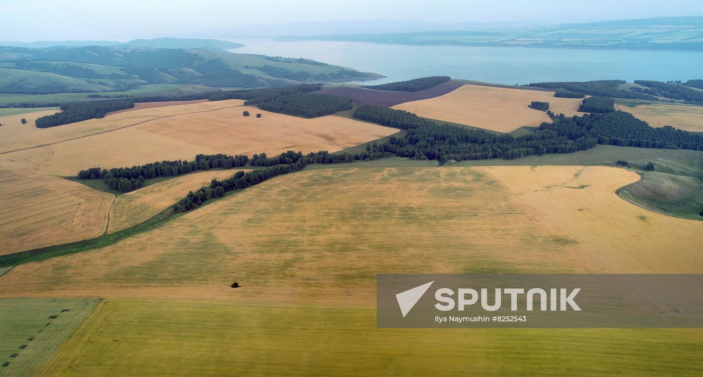 Russia Agriculture