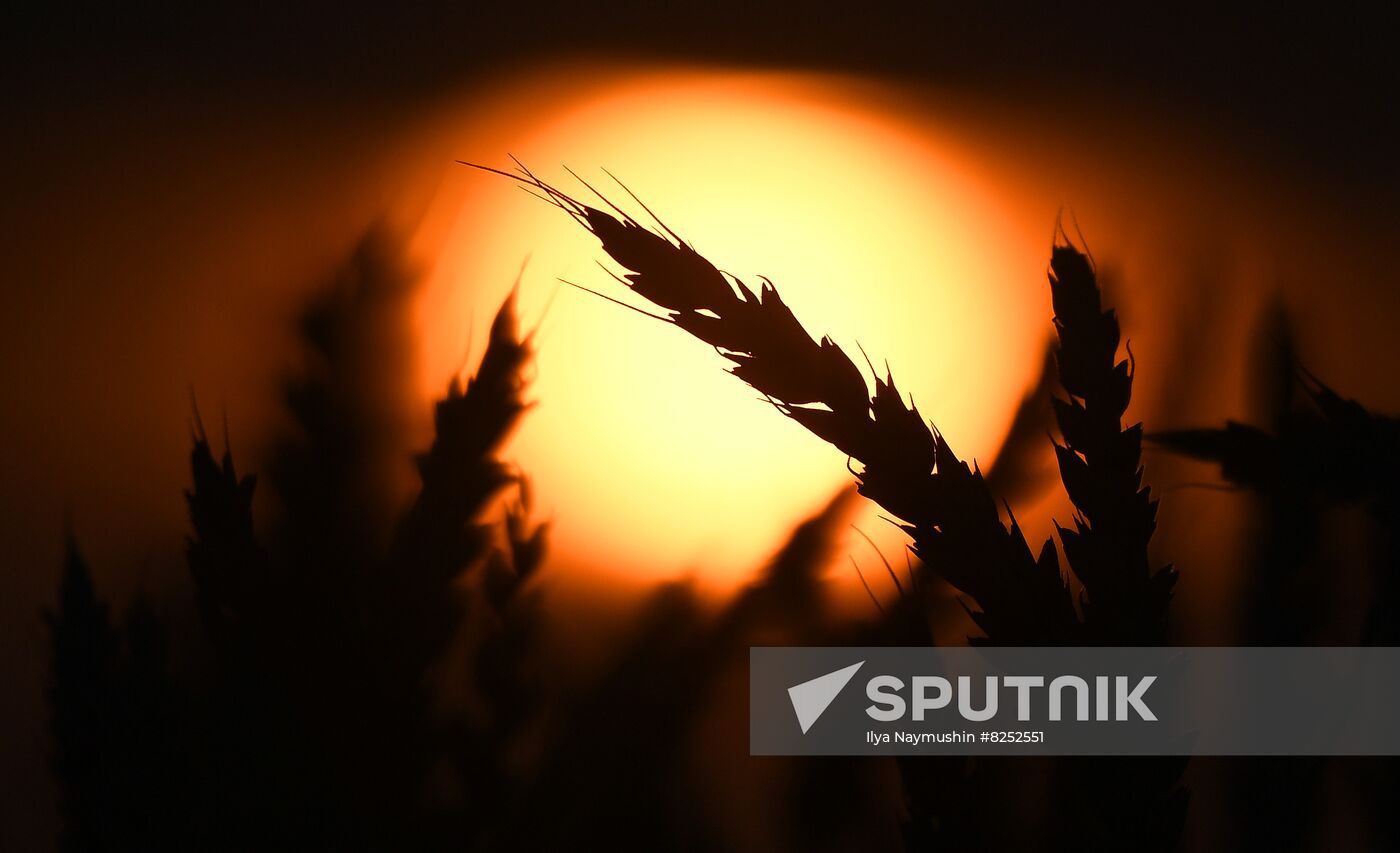 Russia Agriculture