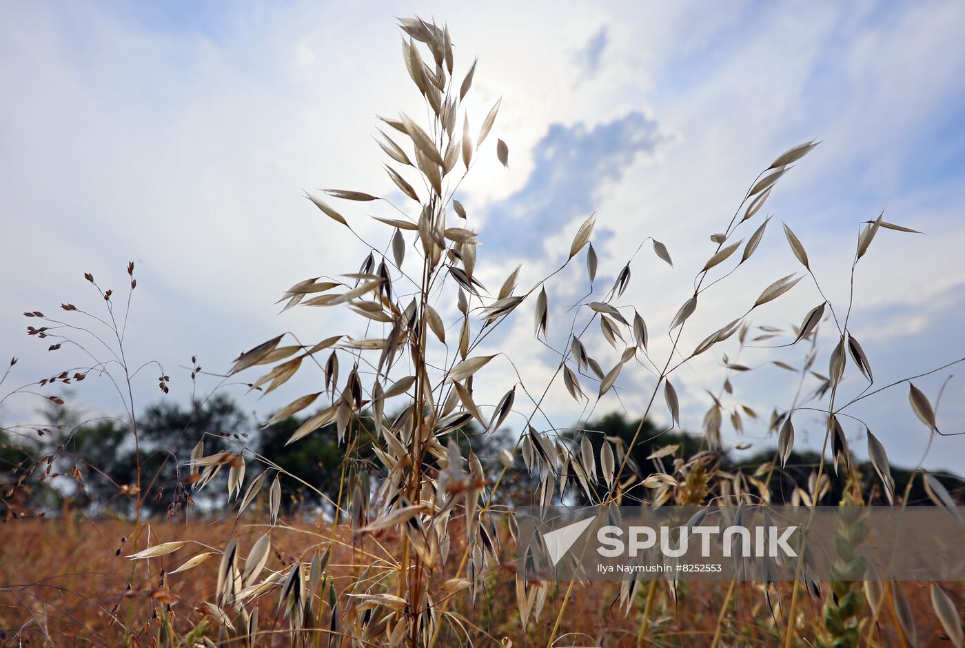 Russia Agriculture