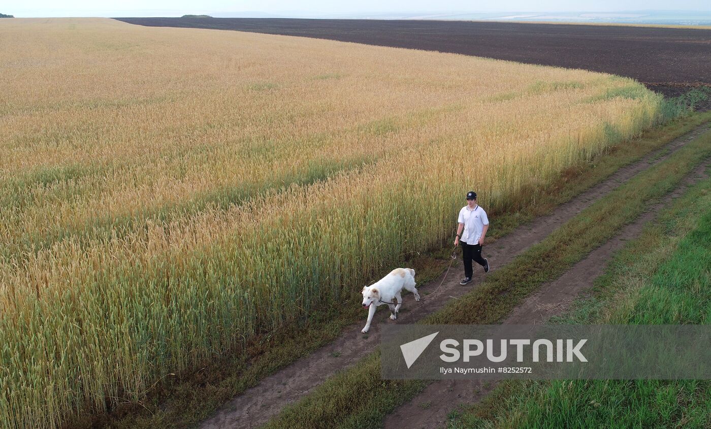 Russia Agriculture