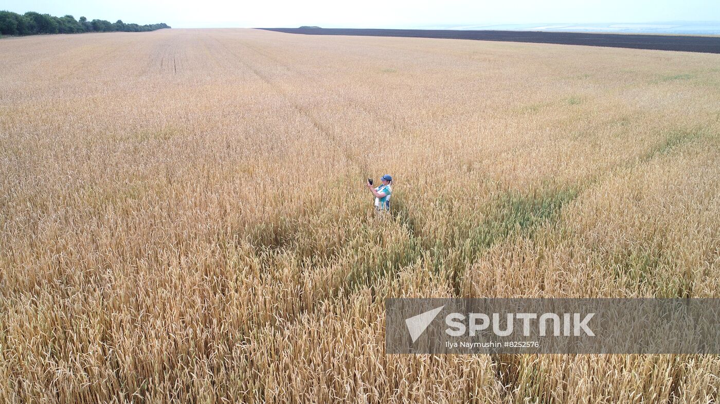 Russia Agriculture