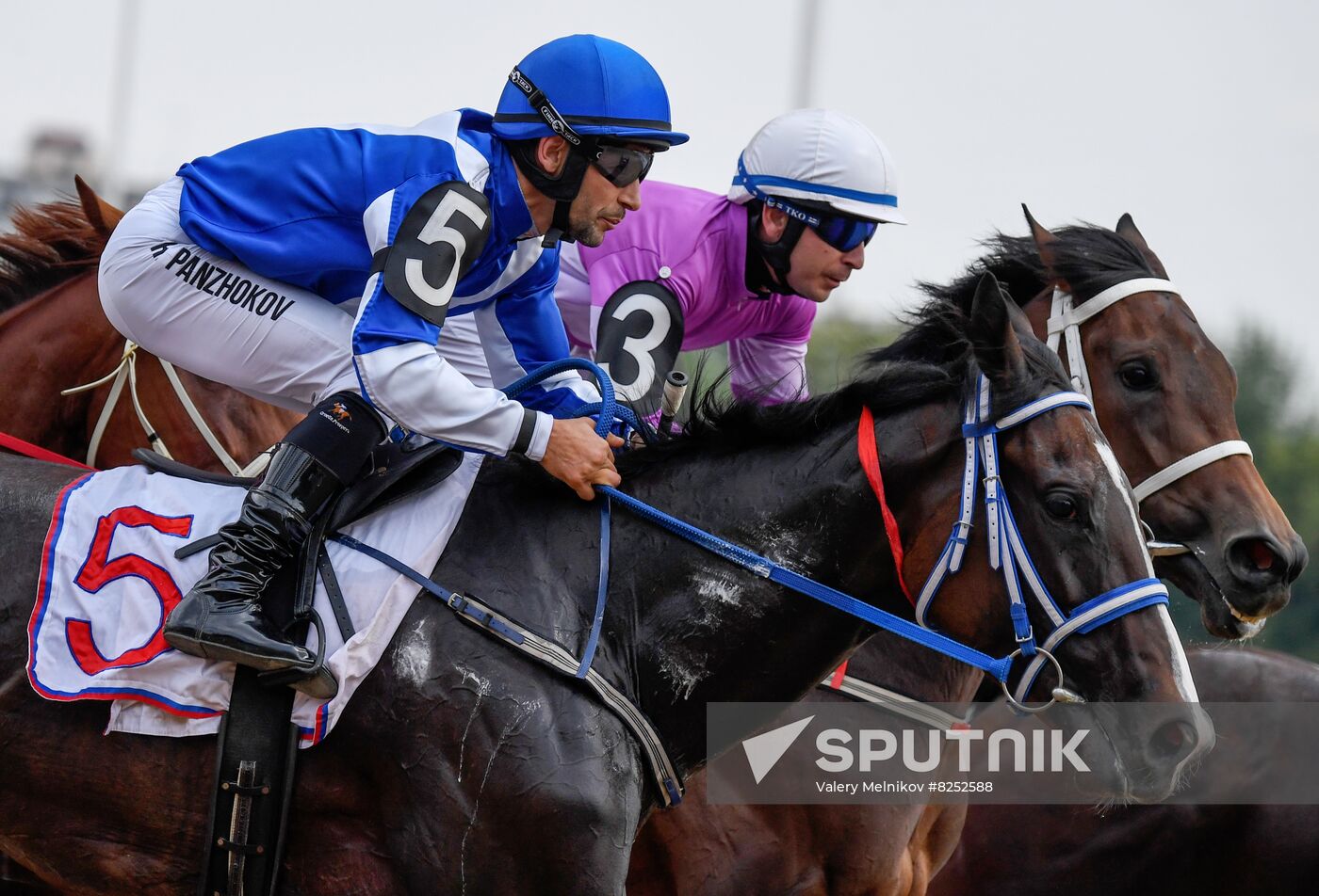 Russia Horse Racing Derby Festival