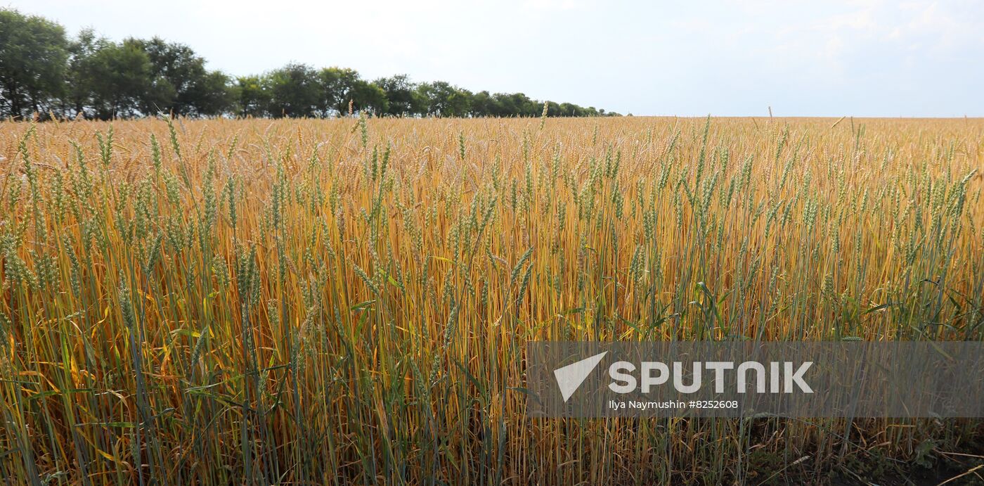Russia Agriculture