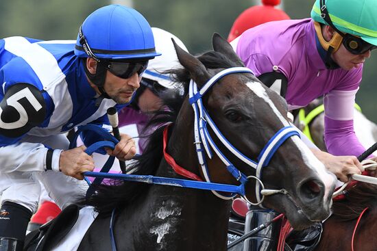 Russia Horse Racing Derby Festival