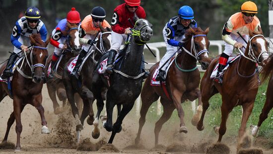 Russia Horse Racing Derby Festival