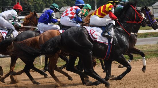 Russia Horse Racing Derby Festival