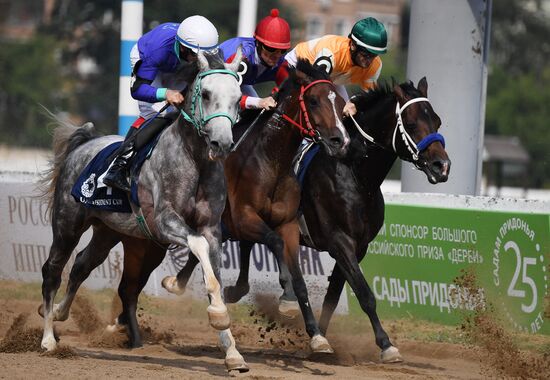 Russia Horse Racing Derby Festival