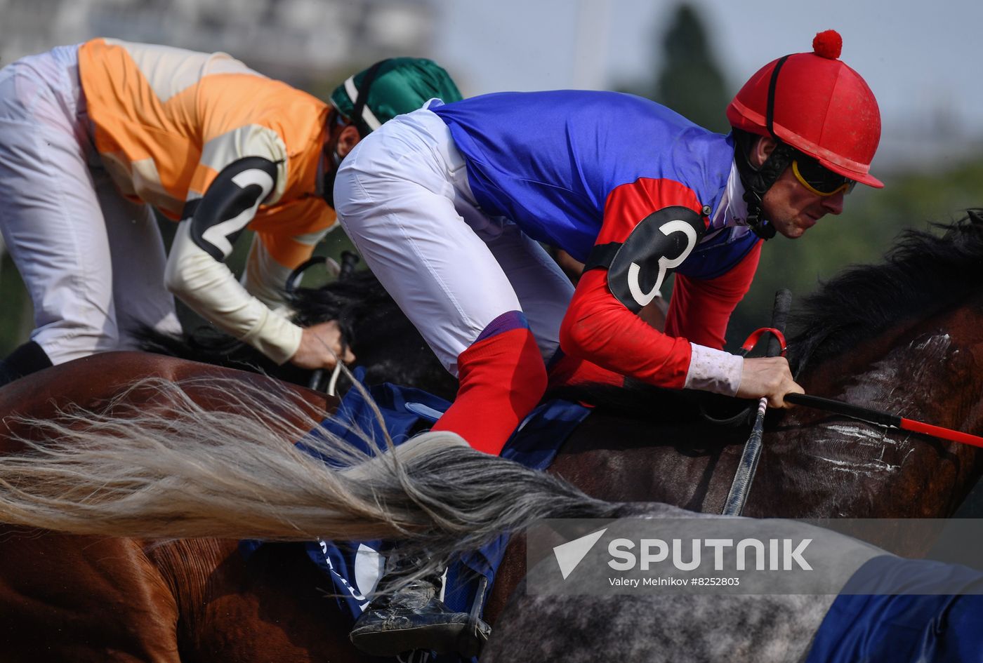 Russia Horse Racing Derby Festival