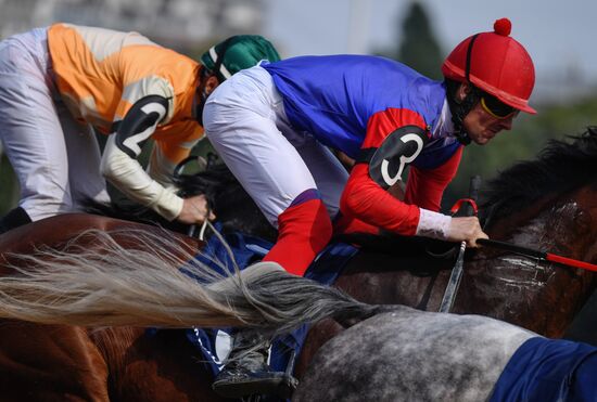 Russia Horse Racing Derby Festival