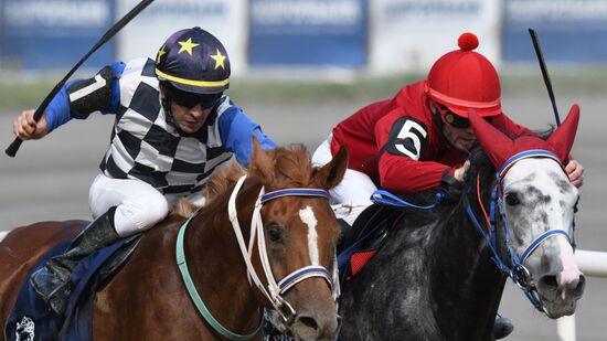 Russia Horse Racing Derby Festival