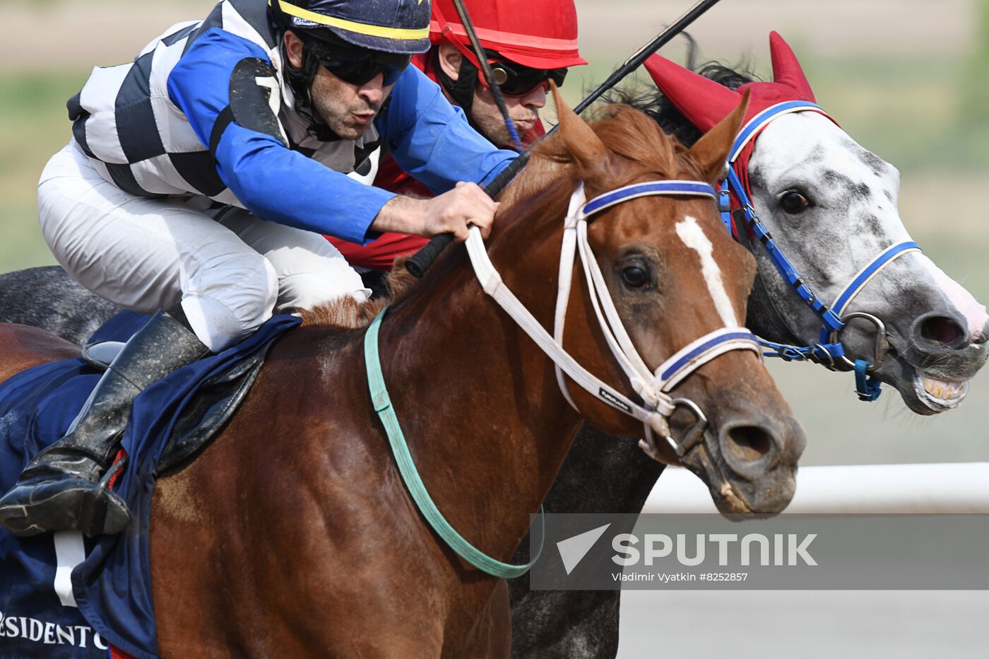 Russia Horse Racing Derby Festival