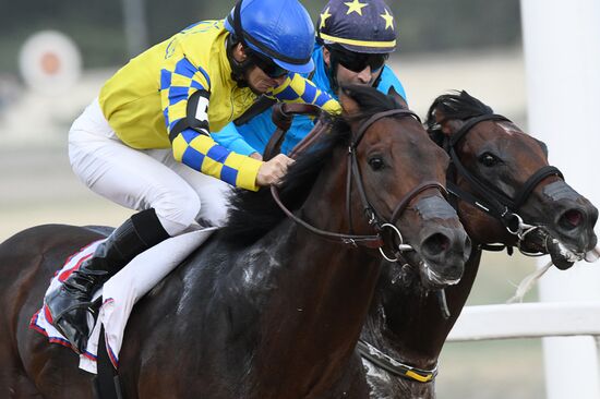 Russia Horse Racing Derby Festival