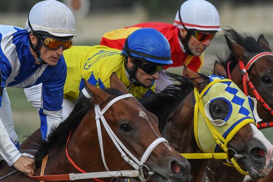 Russia Horse Racing Derby Festival