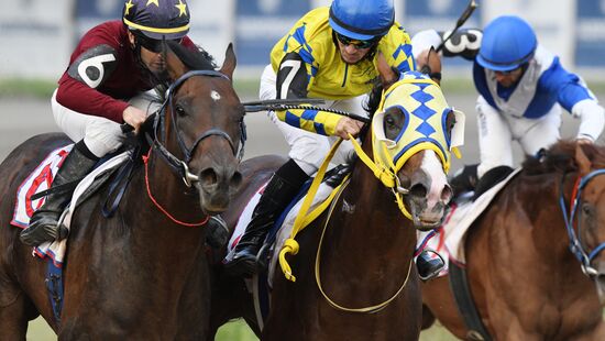 Russia Horse Racing Derby Festival