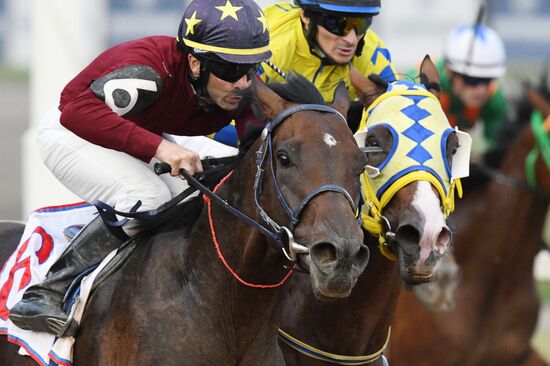 Russia Horse Racing Derby Festival