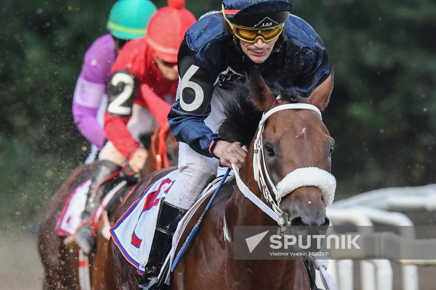 Russia Horse Racing Derby Festival