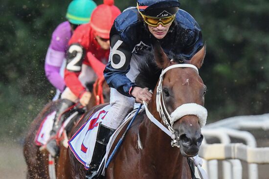 Russia Horse Racing Derby Festival