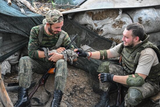 DPR Russia Ukraine Military Operation International Brigade