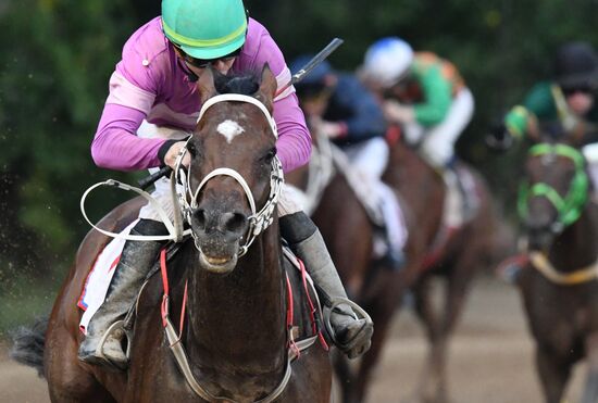 Russia Horse Racing Derby Festival