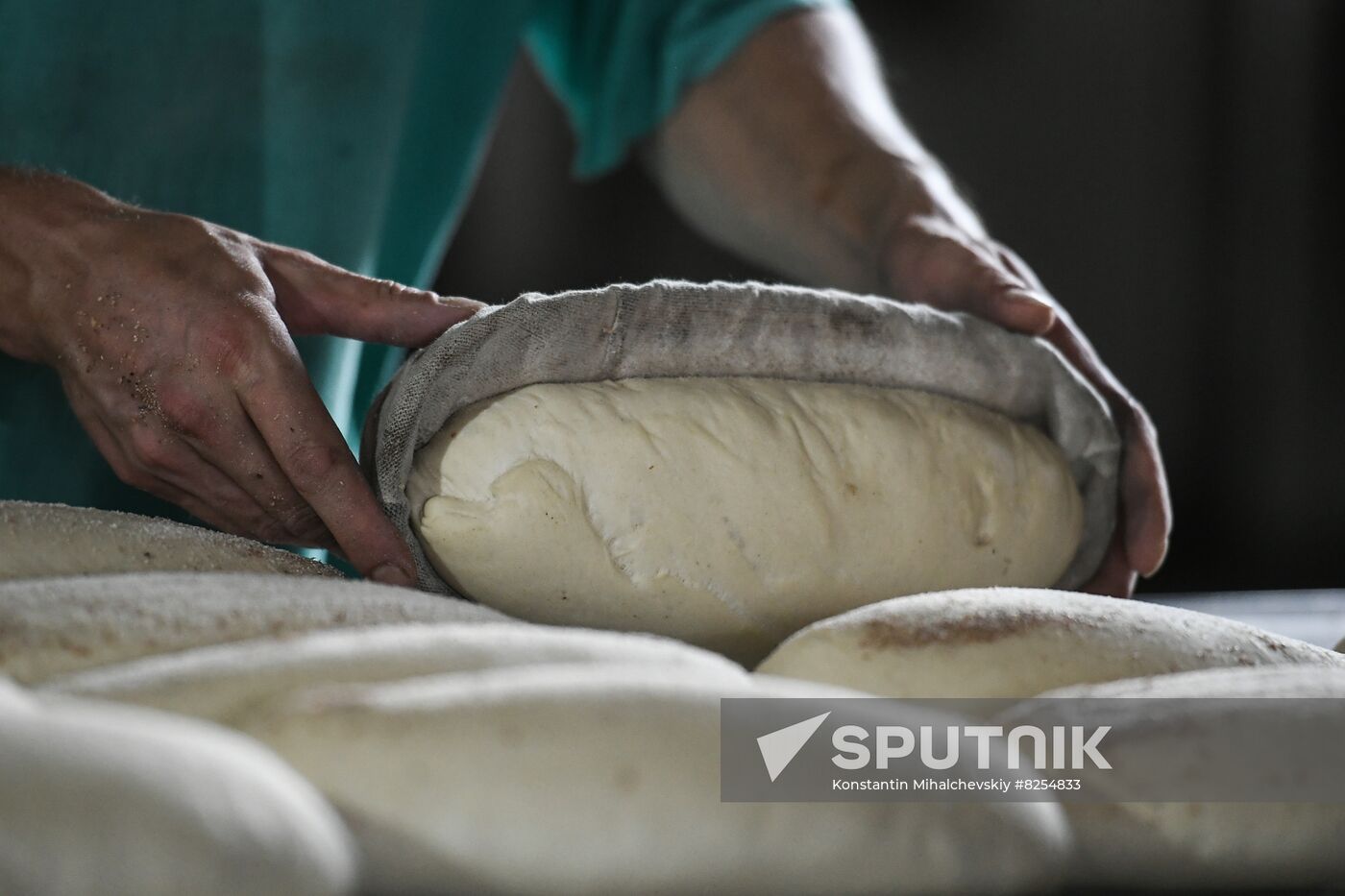 Ukraine Russia Military Operation Bakery