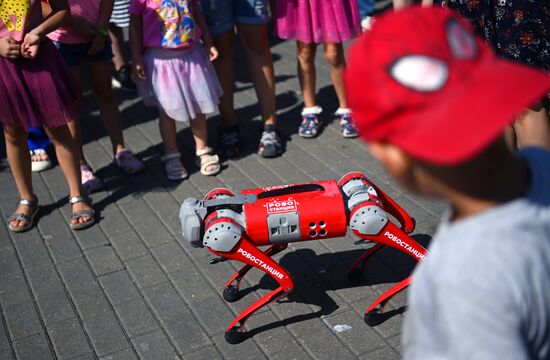 Russia Zoo Robot Dog