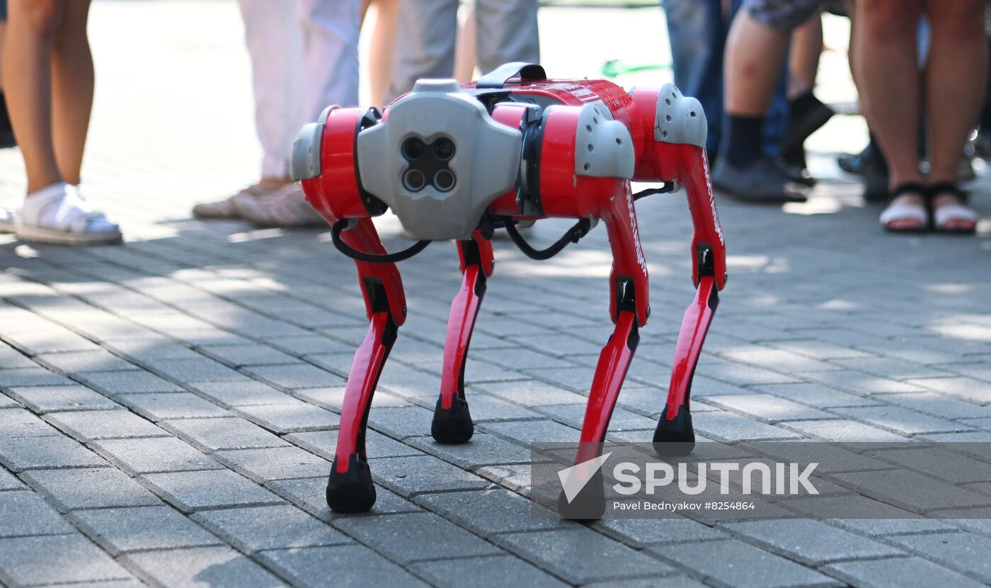 Russia Zoo Robot Dog