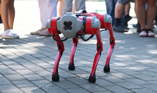 Russia Zoo Robot Dog