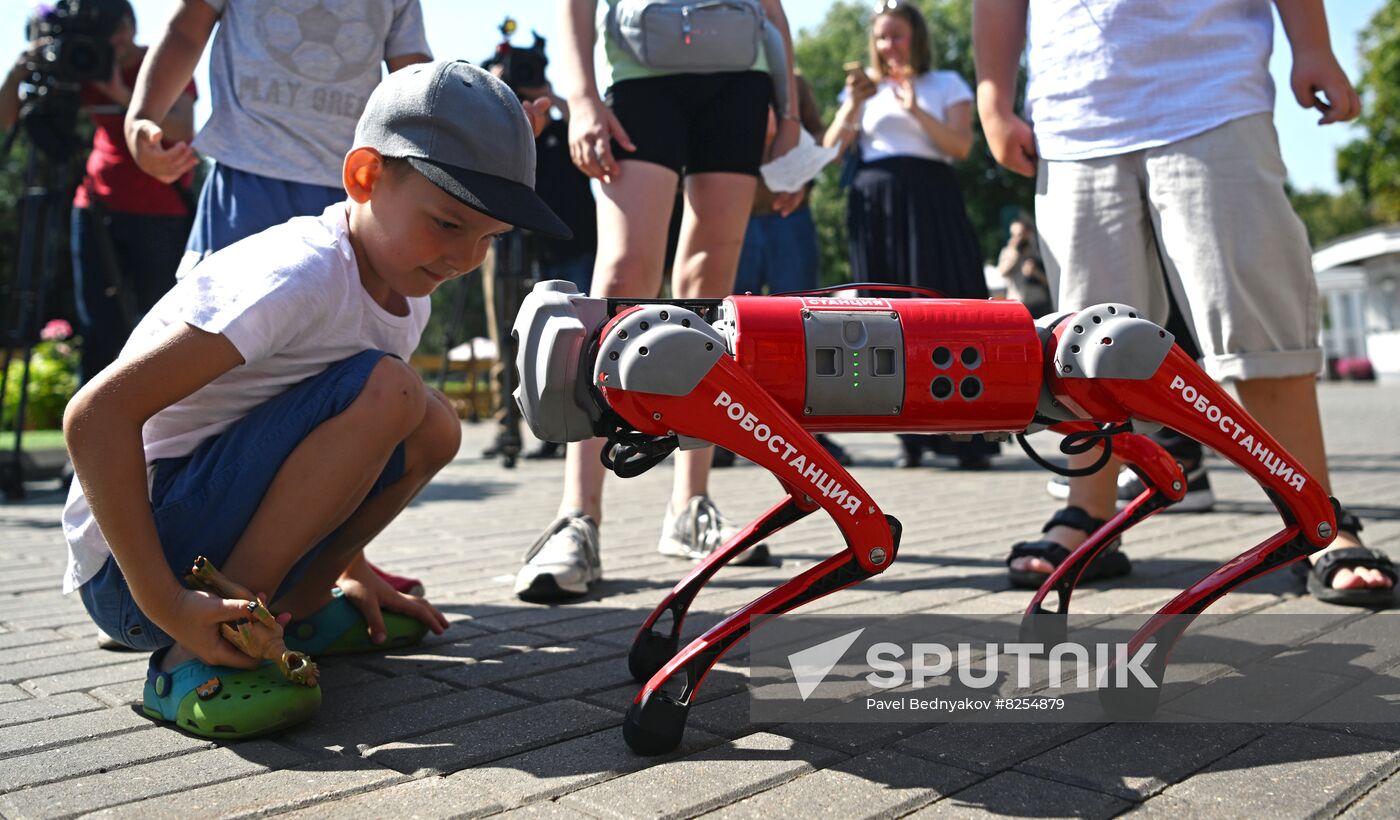 Russia Zoo Robot Dog