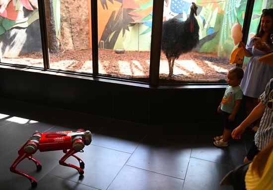 Russia Zoo Robot Dog