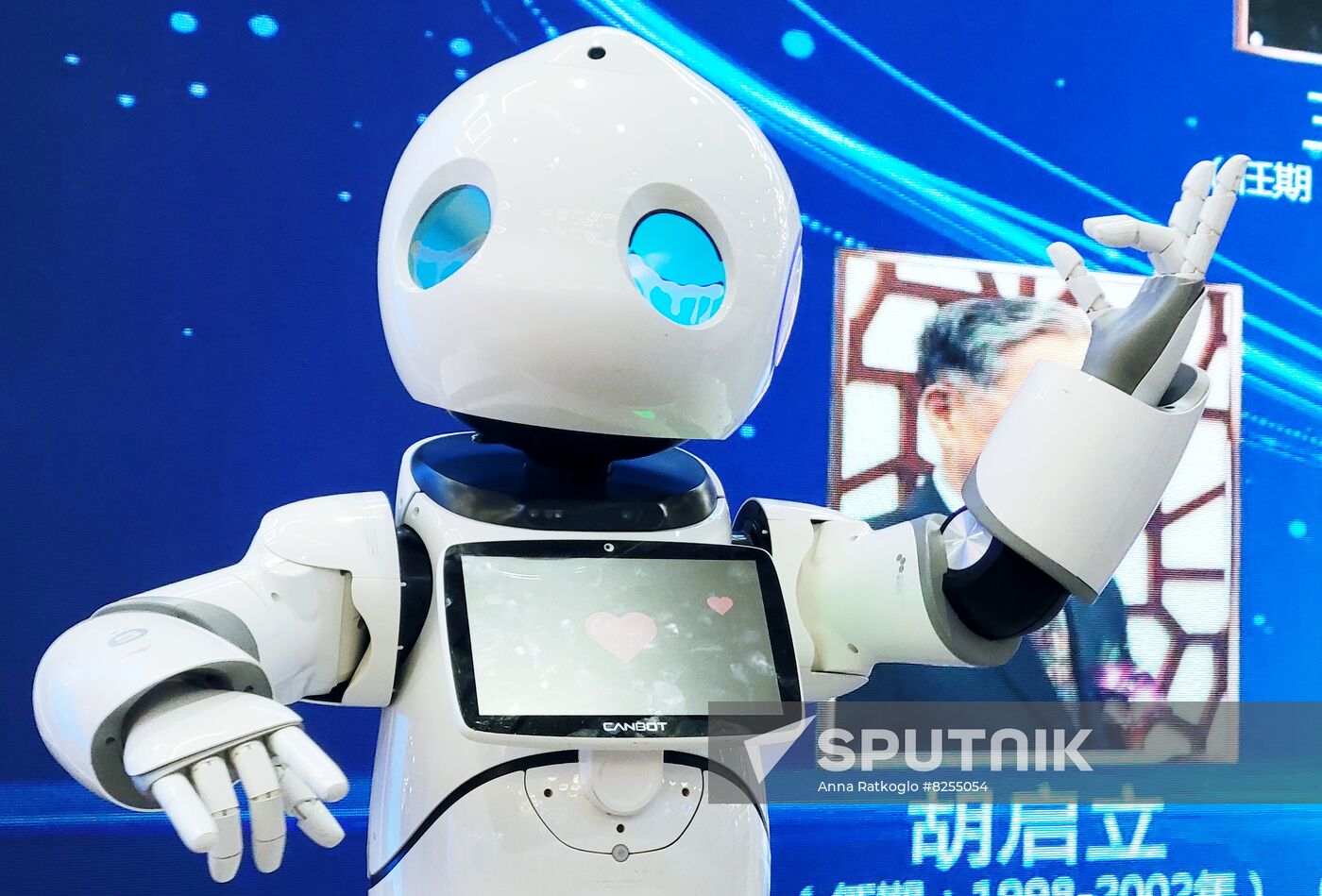 China World Robot Conference