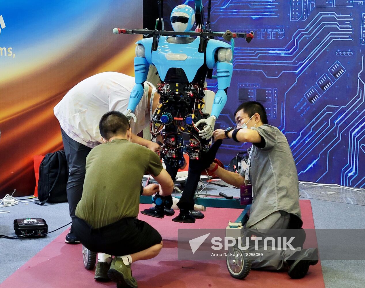 China World Robot Conference