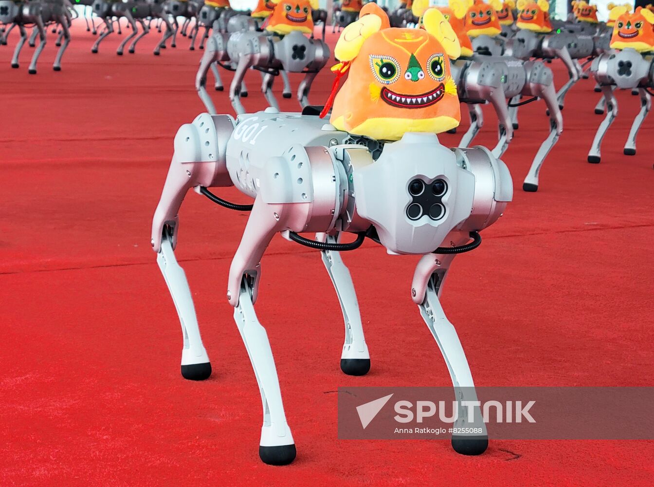 China World Robot Conference