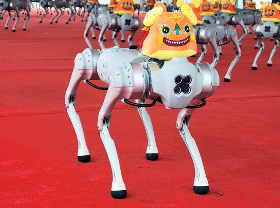 China World Robot Conference
