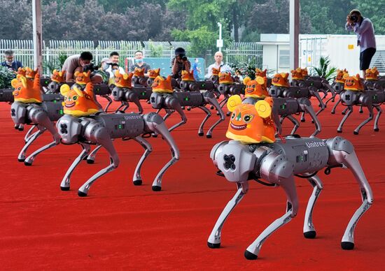 China World Robot Conference
