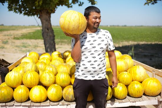 Uzbekistan Daily Life