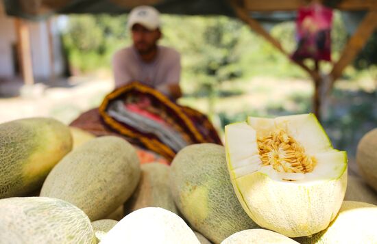 Uzbekistan Daily Life