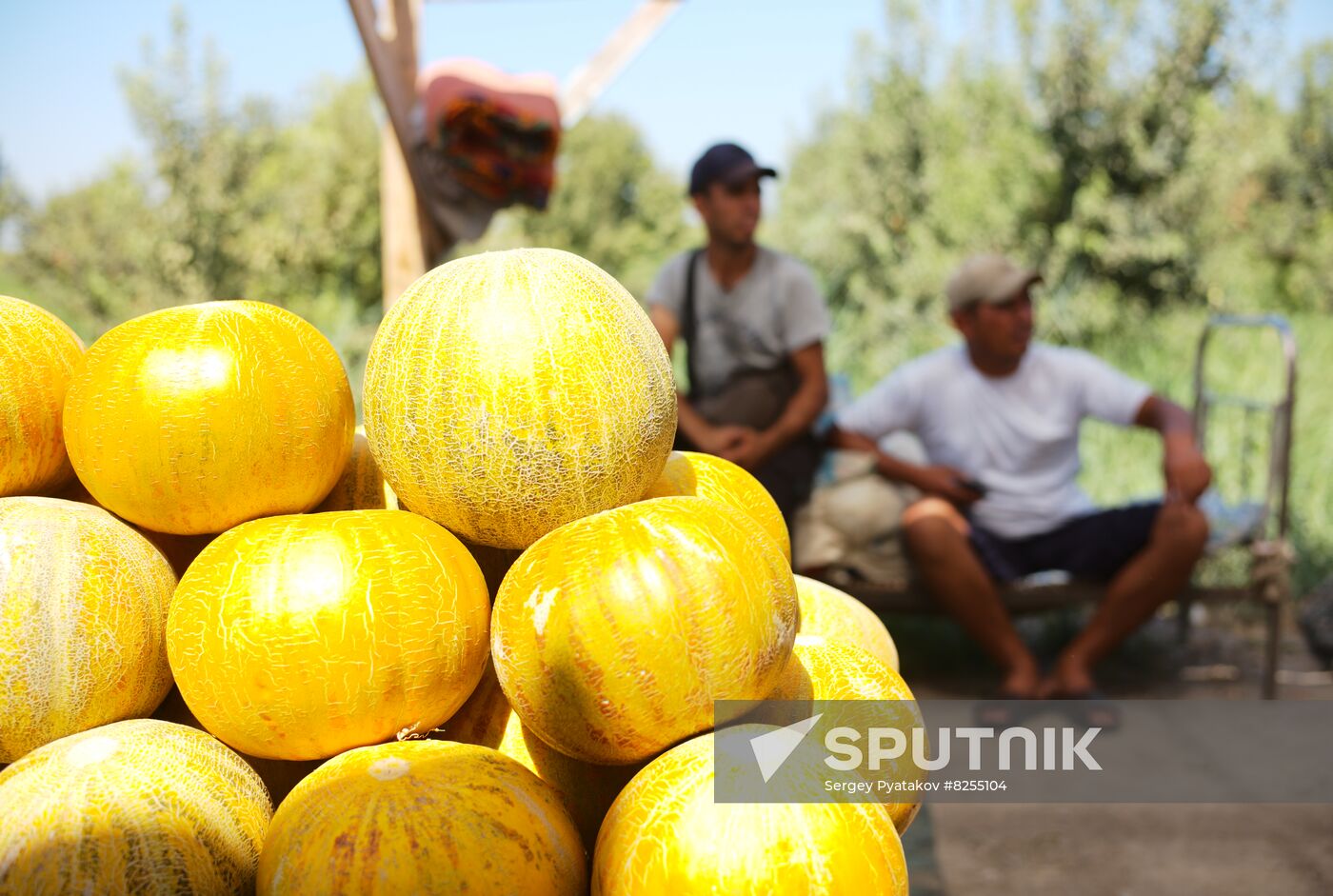 Uzbekistan Daily Life
