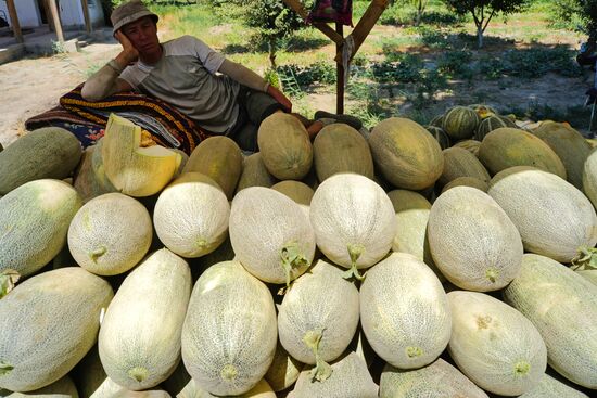 Uzbekistan Daily Life