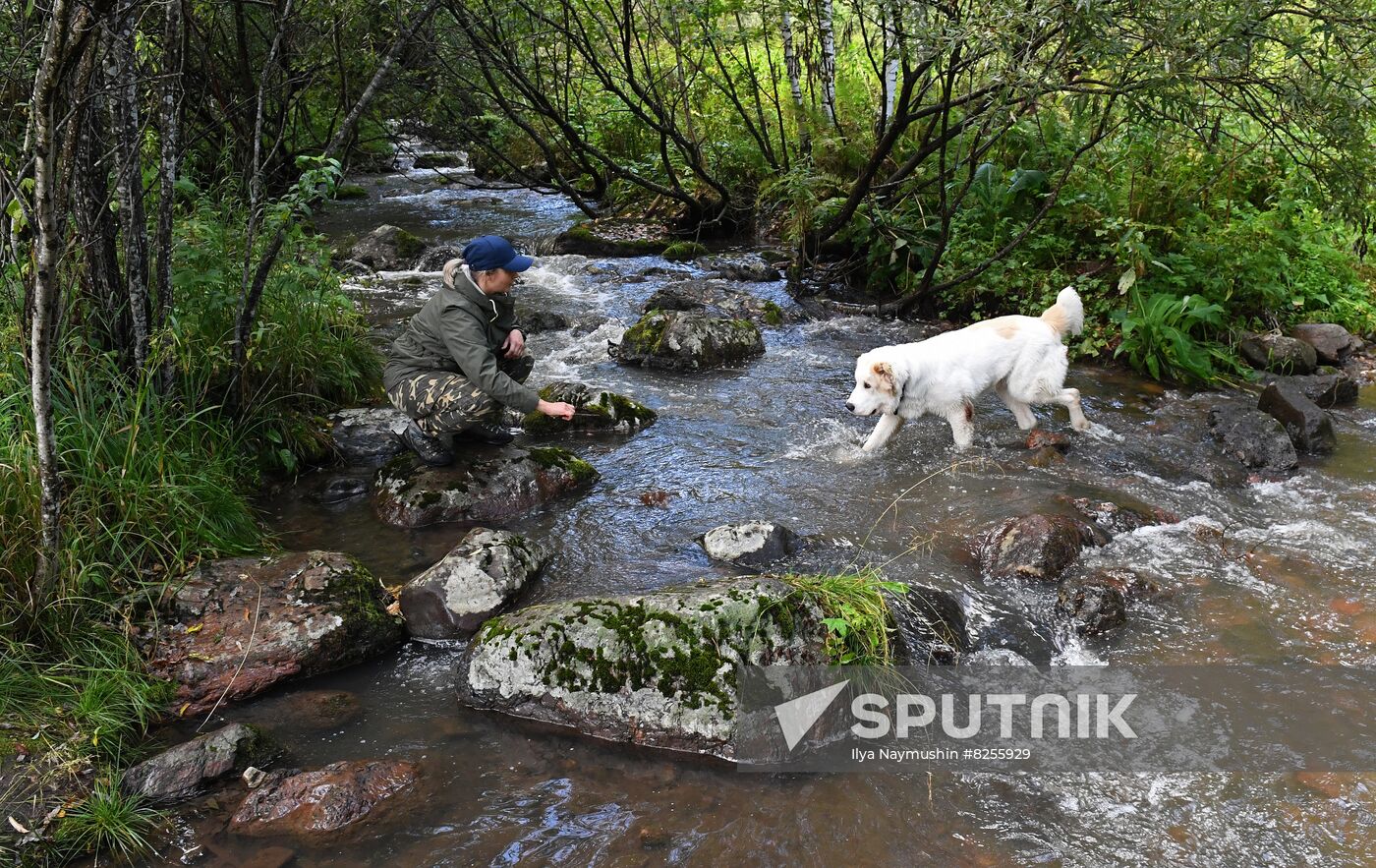 Russia Siberia Nature