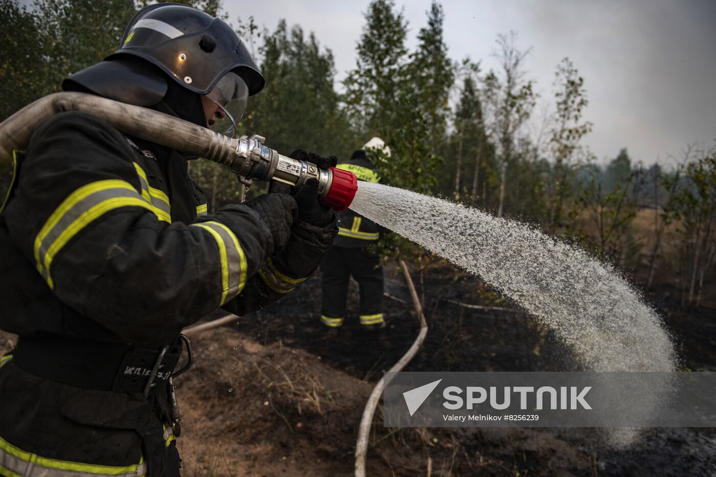 Russia Wildfires