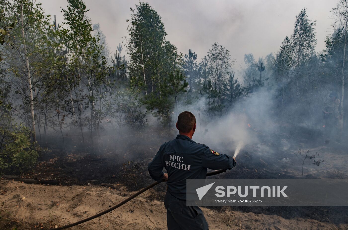 Russia Wildfires