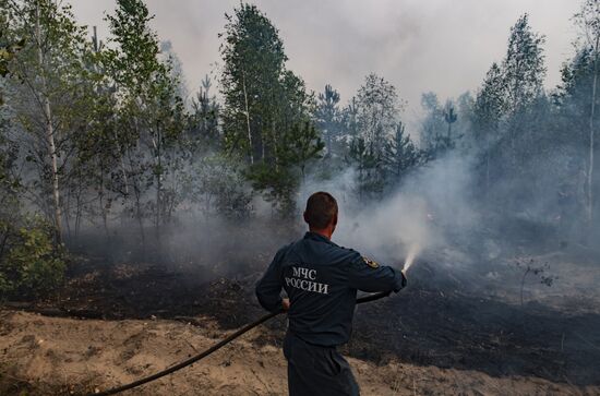 Russia Wildfires